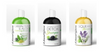 3 Shampoo Set - Activated Charcoal, Apple Cider Vinegar Shampoo, Green Tea Moisturizing Shampoo | Organic and Hand-made
