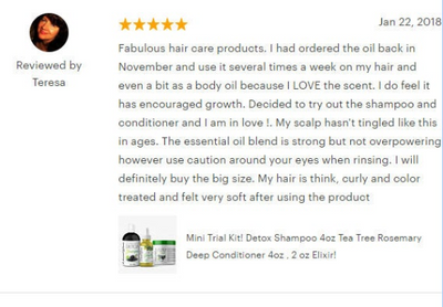 3 Shampoo Set - Activated Charcoal, Apple Cider Vinegar Shampoo, Green Tea Moisturizing Shampoo | Organic and Hand-made